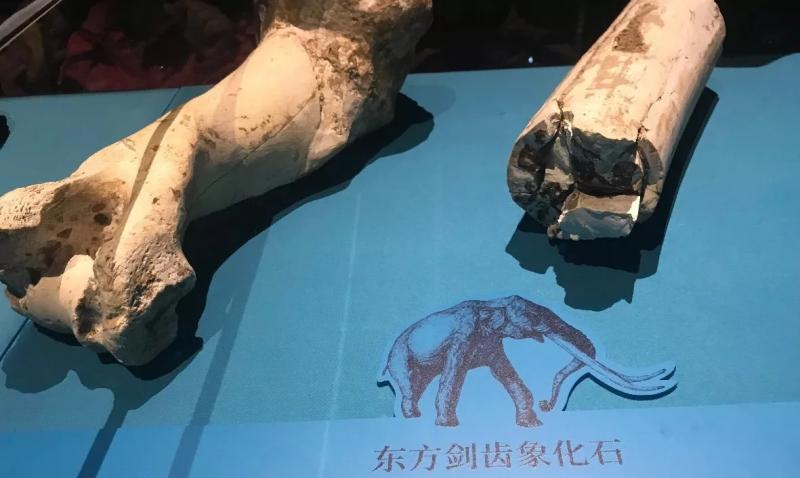 微信图片_20180907155334.jpg
