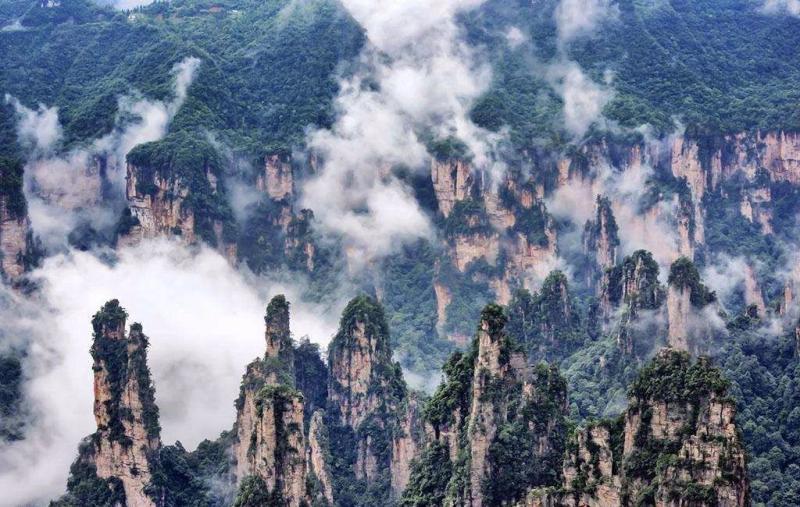 20181121171707800 (1).jpg