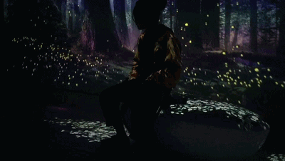微信图片_20181204091830.gif