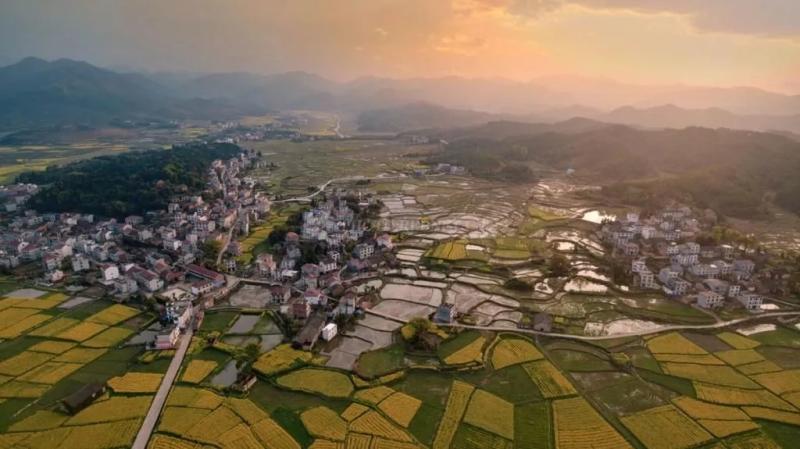 640 (3).webp (66).jpg