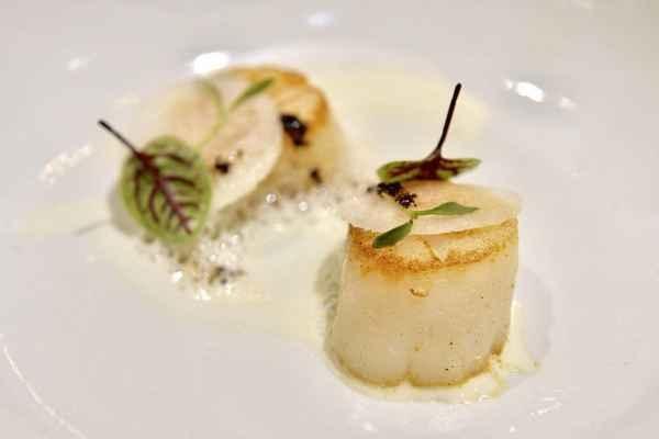 u=2639280865,3716547461&fm=173&app=49&f=JPEG (1).jpg