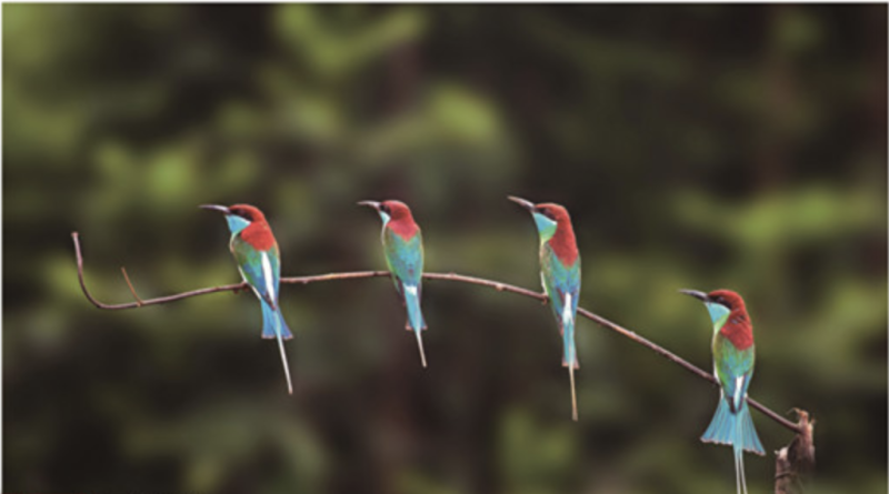 屏幕快照 2019-01-16 下午3.29.40.png