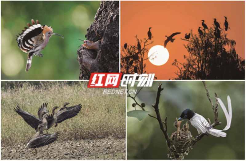 屏幕快照 2019-01-16 下午3.29.59.png