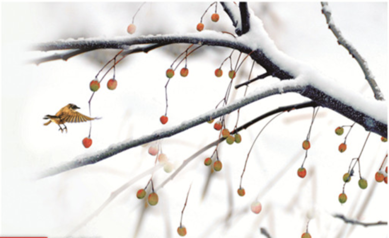 屏幕快照 2019-01-16 下午3.29.05.png