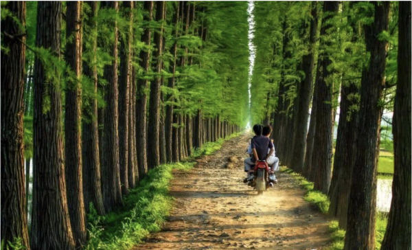 屏幕快照 2019-01-16 下午3.24.32.png