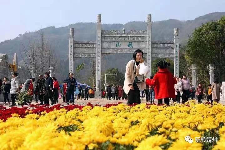 W020190304335315733315 (1).png