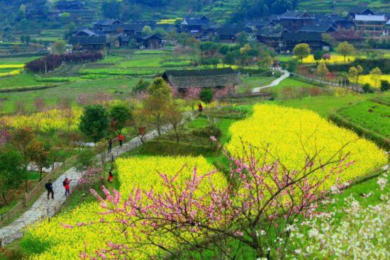 W020190402566172835966 (2).jpg