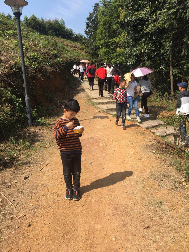 W020190408332293069403 (1).jpg