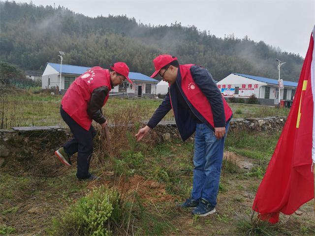 桂东文旅广体局义务植树活动1.jpg