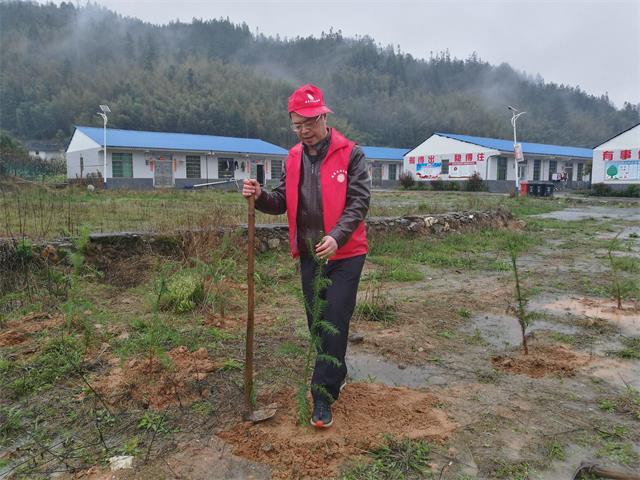 桂东文旅广体局义务植树活动.jpg