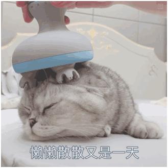 70631.png