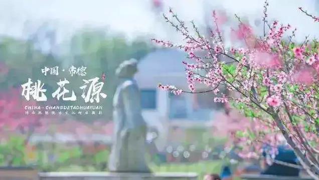 活动.jpg