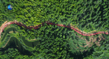 QQ图片20200601143817.gif