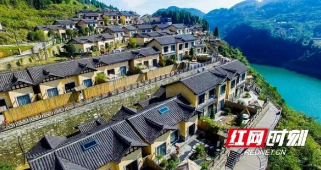 凤凰2.jpg