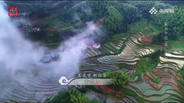 微信图片_20200619165223.jpg
