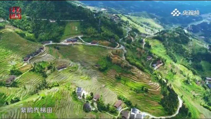 微信图片_20200619165232.jpg