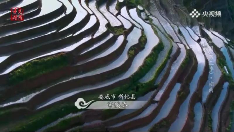 微信图片_20200619165228.jpg