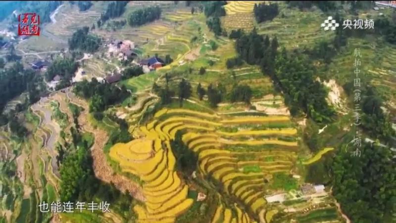 微信图片_20200619165236.jpg