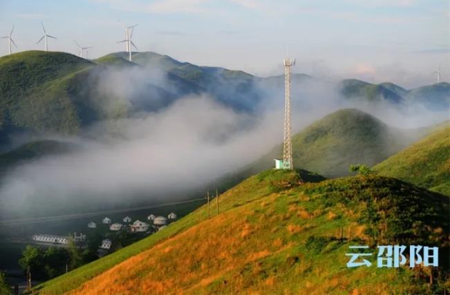 南山5.jpg
