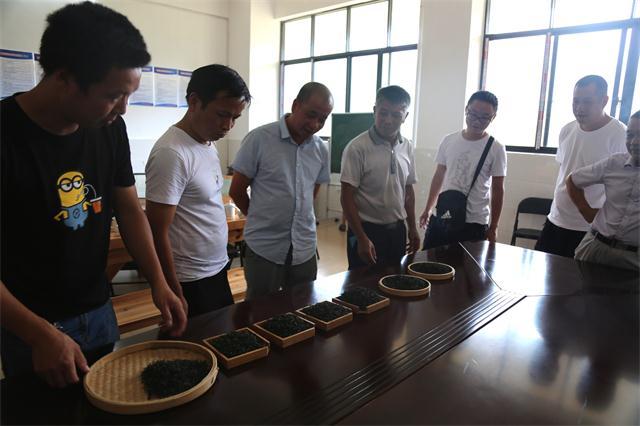 2020年玲珑茶制作技艺代表性传承人培训活动在桂东举行3.jpg