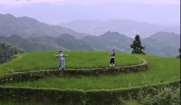 微信图片_20200813083032.jpg
