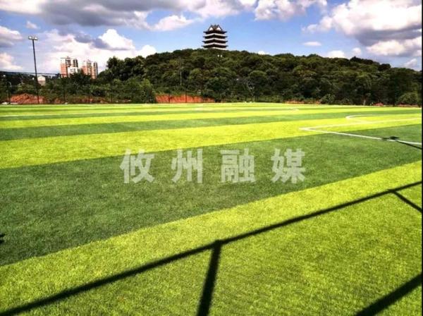足球场1.jpg