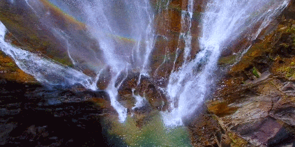 12.gif