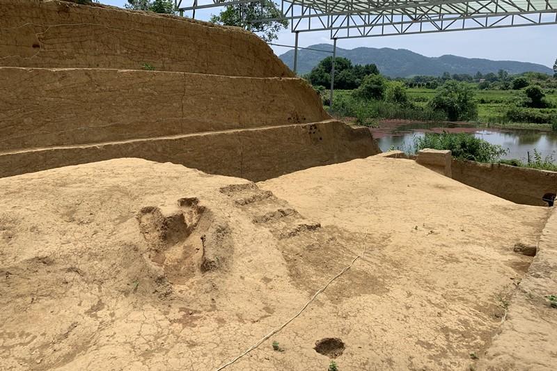 微5.jpg