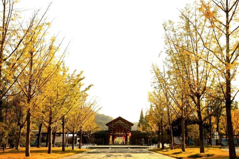 旅游区2.jpg