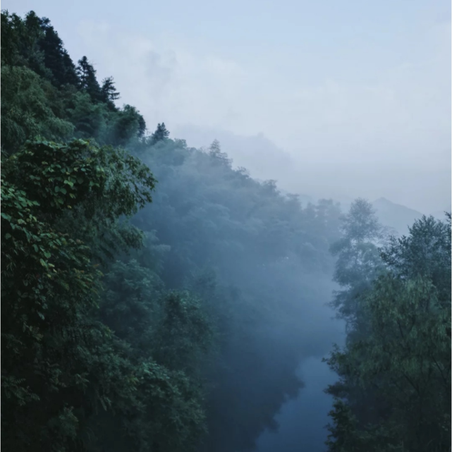 20191230100642977.png