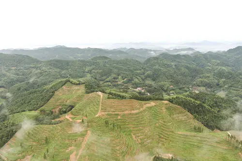 微信图片_20200930141840.png