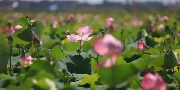 微信图片_20200930141843.png