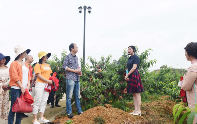 微信截图_20201119154509.png