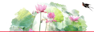 3d6e7721-0eda-4a74-8293-bb6d7e7d50f3.png