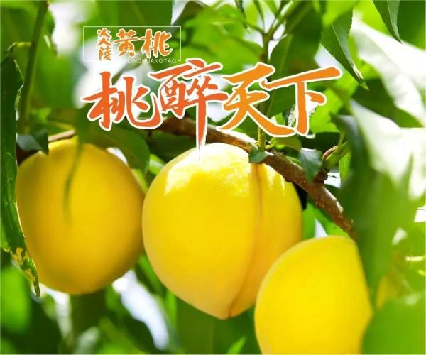 微信图片_20201201113829.jpg