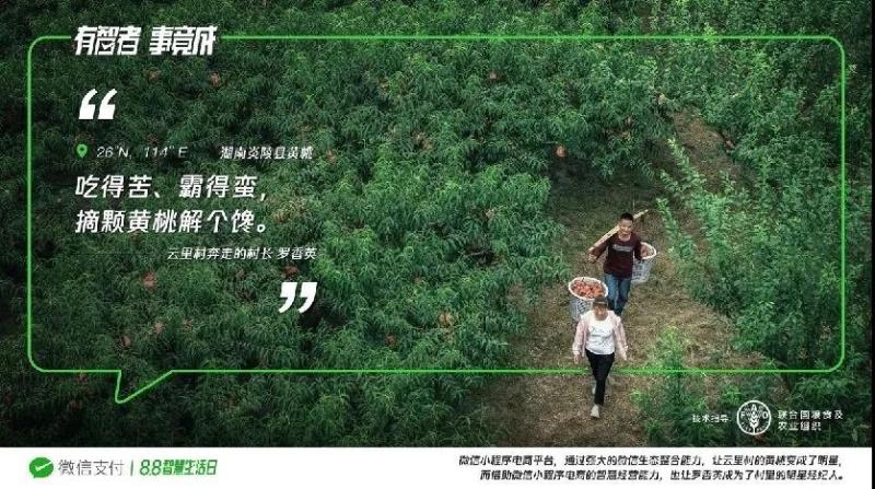 微信图片_20201201223912.jpg
