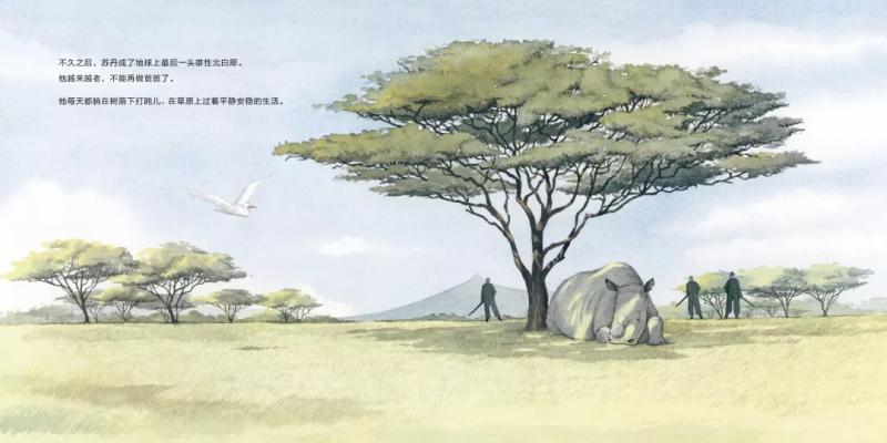 16.webp (1).jpg