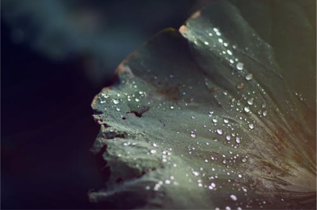微信图片_20201203210502.png
