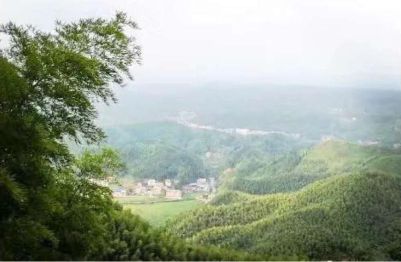 2_看图王(1).jpg