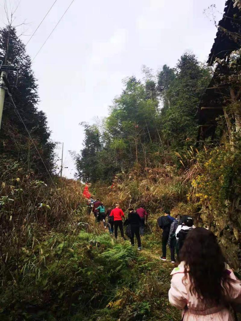 微信图片_202012071021122.jpg