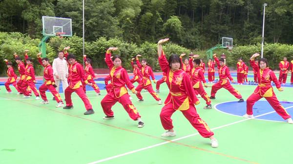 中湘刘氏武术进校园显活力.jpg