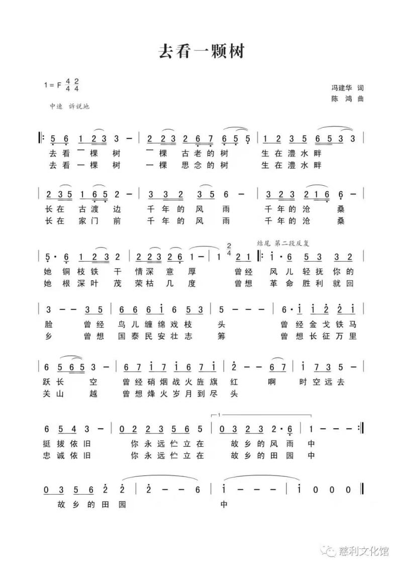 去看一棵树2.jpg