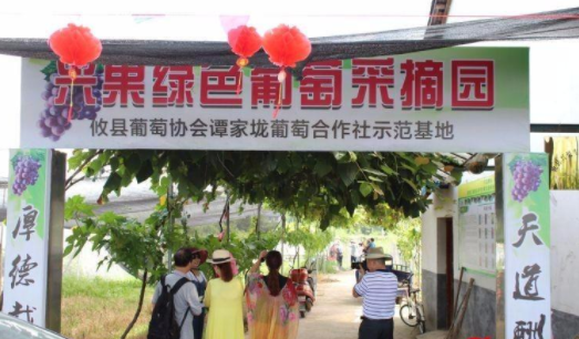 ç¼©ç¥å¾