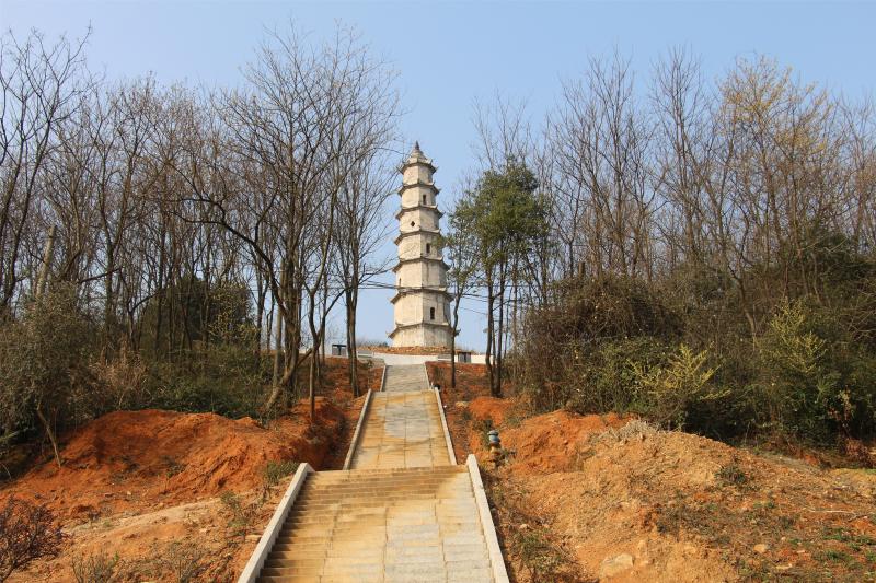 美1.jpg