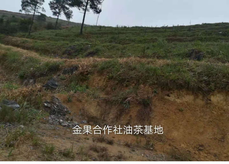 图片11.png