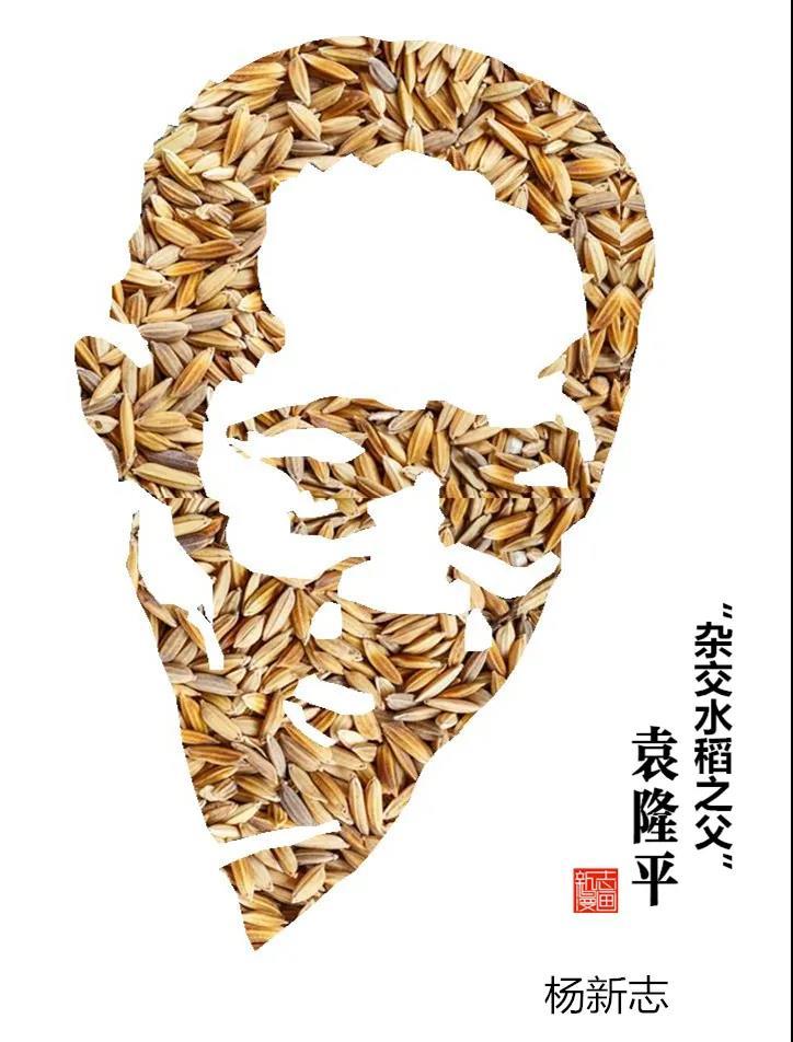 图书馆优秀作陪3.jpg
