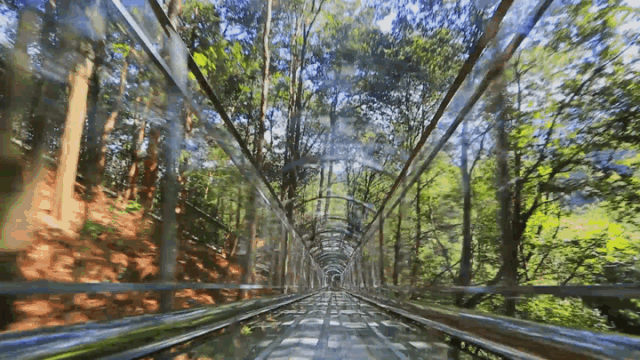 微信图片_20211201103719.gif