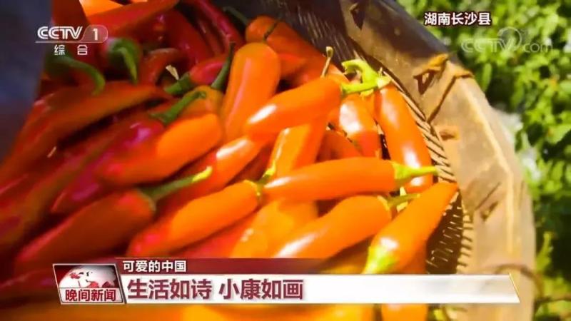 微信图片_20211207202457.jpg