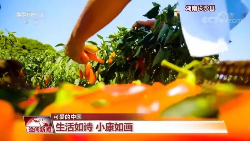 微信图片_20211207202459.jpg