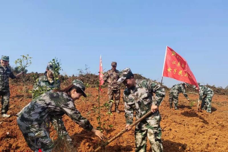 图片14.png